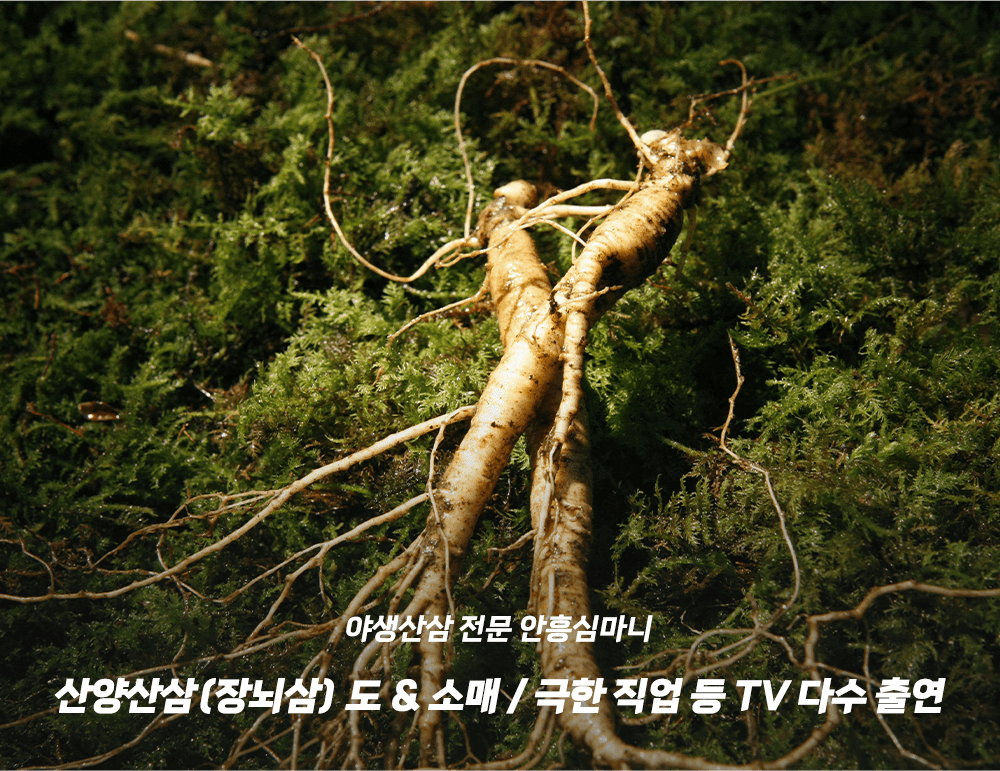 모바일-메인-슬라이드-01
