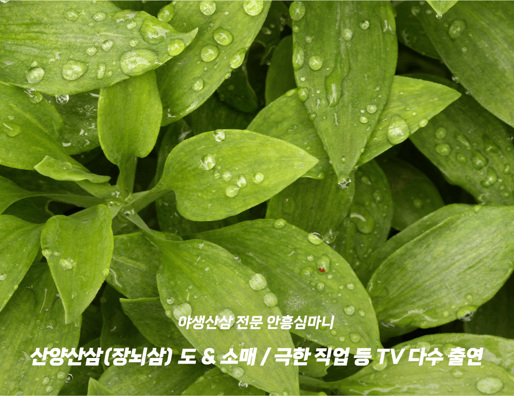 모바일-메인-슬라이드-01