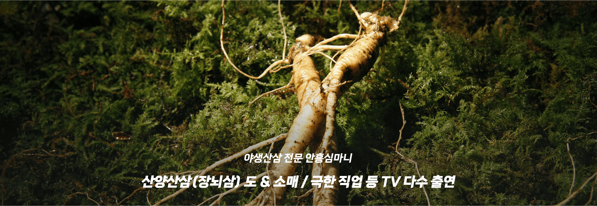 메인-슬라이드-01