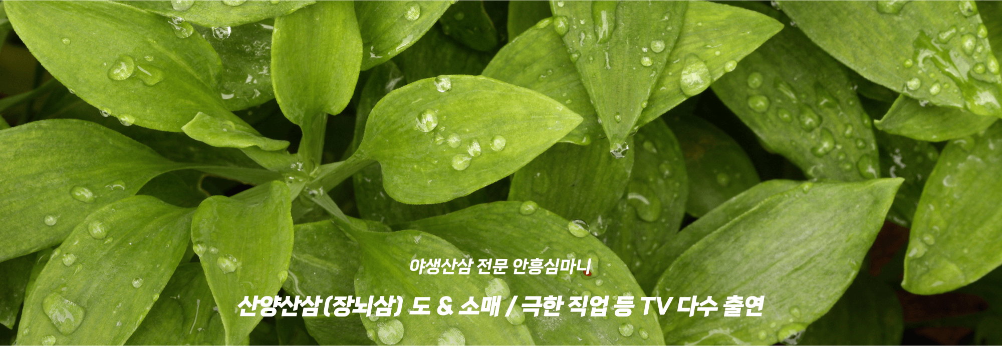 메인-슬라이드-02